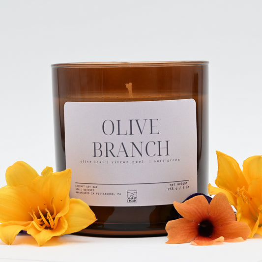 Olive Branch Candle - 9 oz