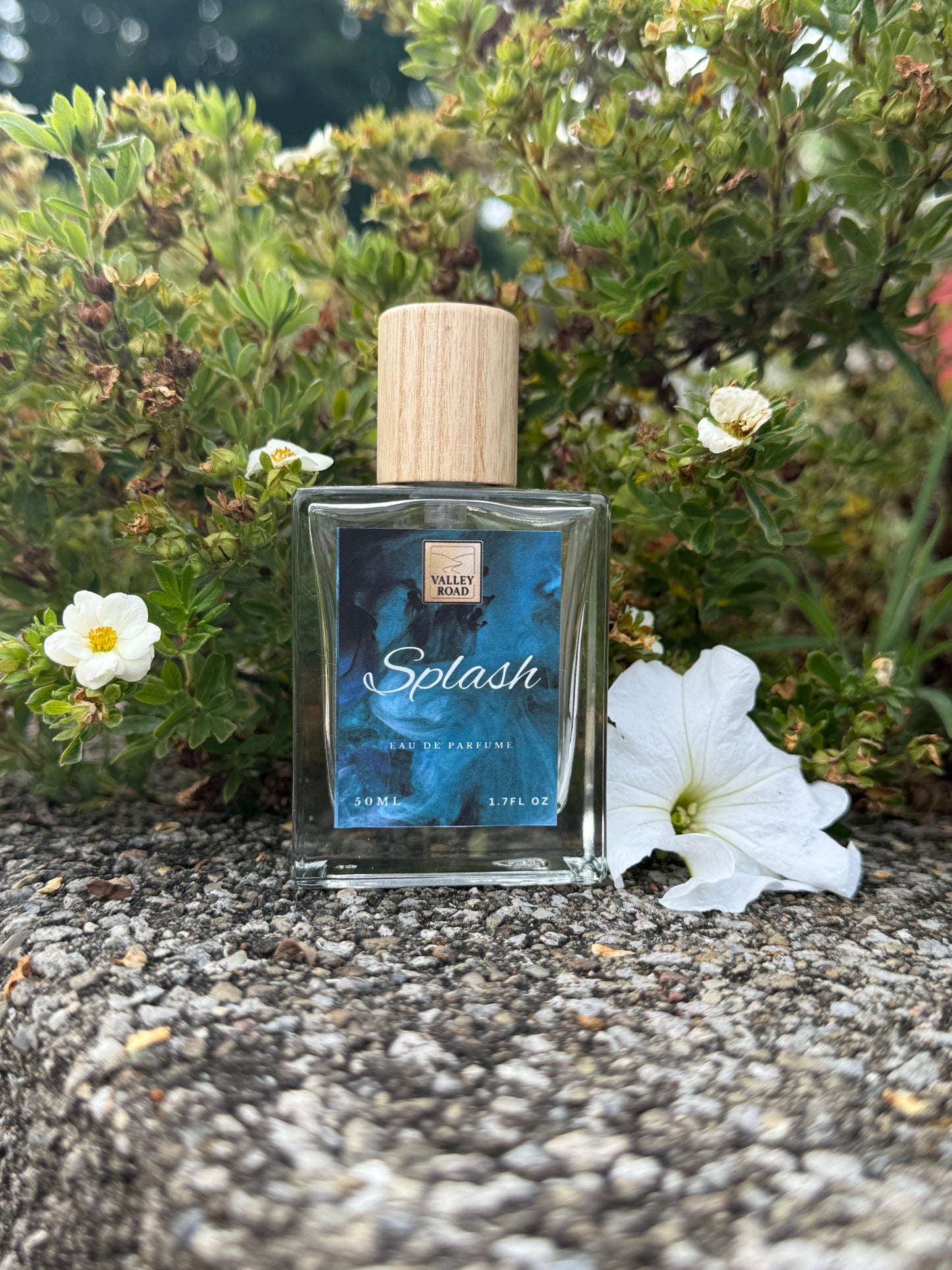 Splash Perfume - 50 ml