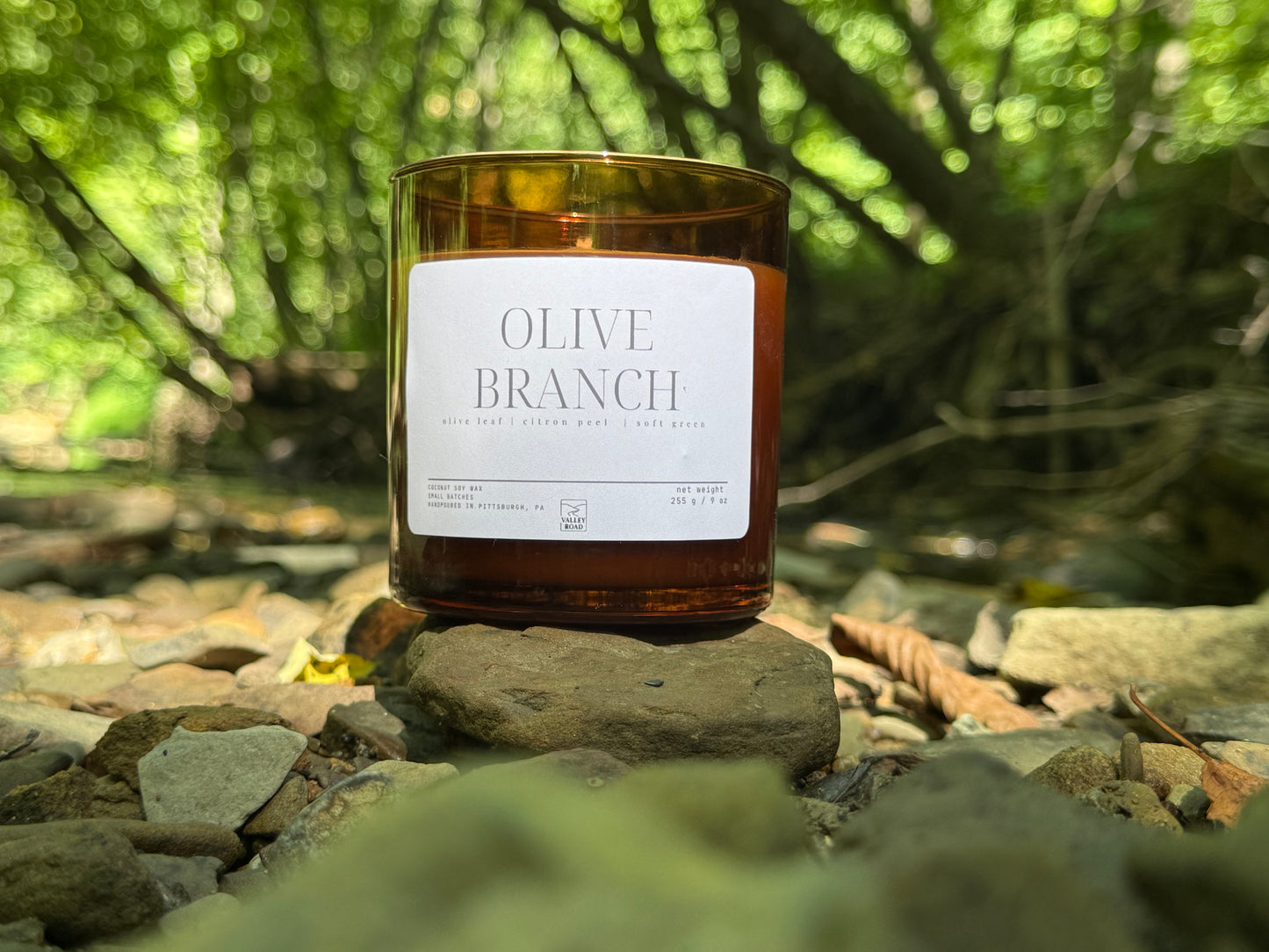 Olive Branch Candle - 9 oz